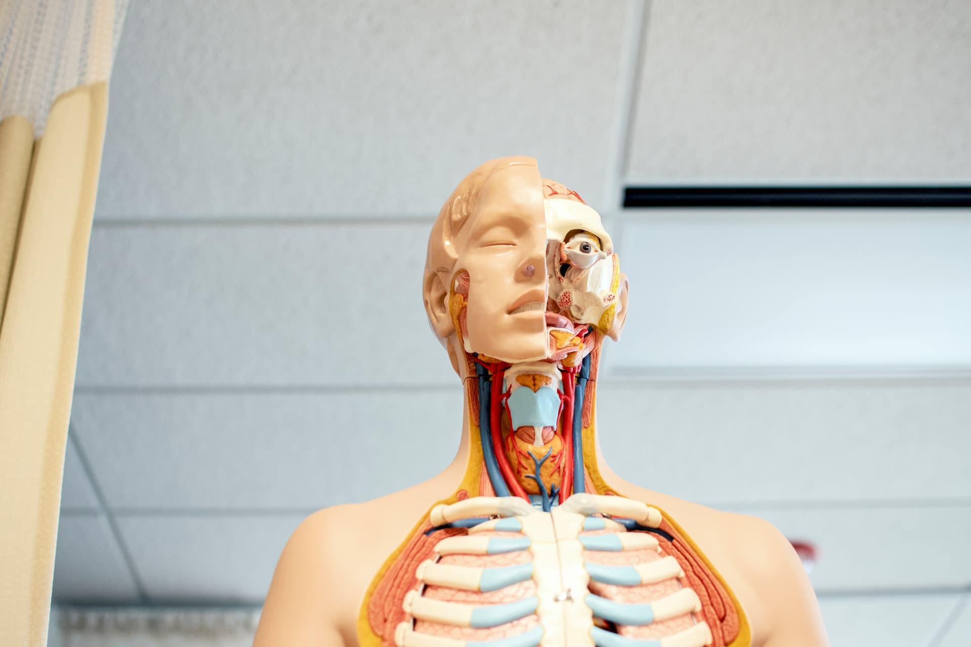 What’s the difference between an MD and DO? - NMC Health