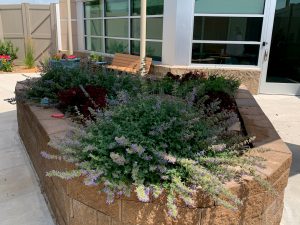 Barrick & Kristi Wilson Terrace at the Senior Behavioral Health Center at NMC Health Medical Center in Newton KS