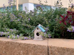 Barrick & Kristi Wilson Terrace at the Senior Behavioral Health Center at NMC Health Medical Center in Newton KS