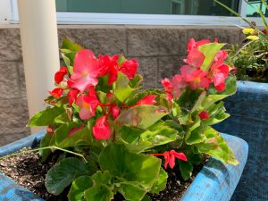 Barrick & Kristi Wilson Terrace at the Senior Behavioral Health Center at NMC Health Medical Center in Newton KS