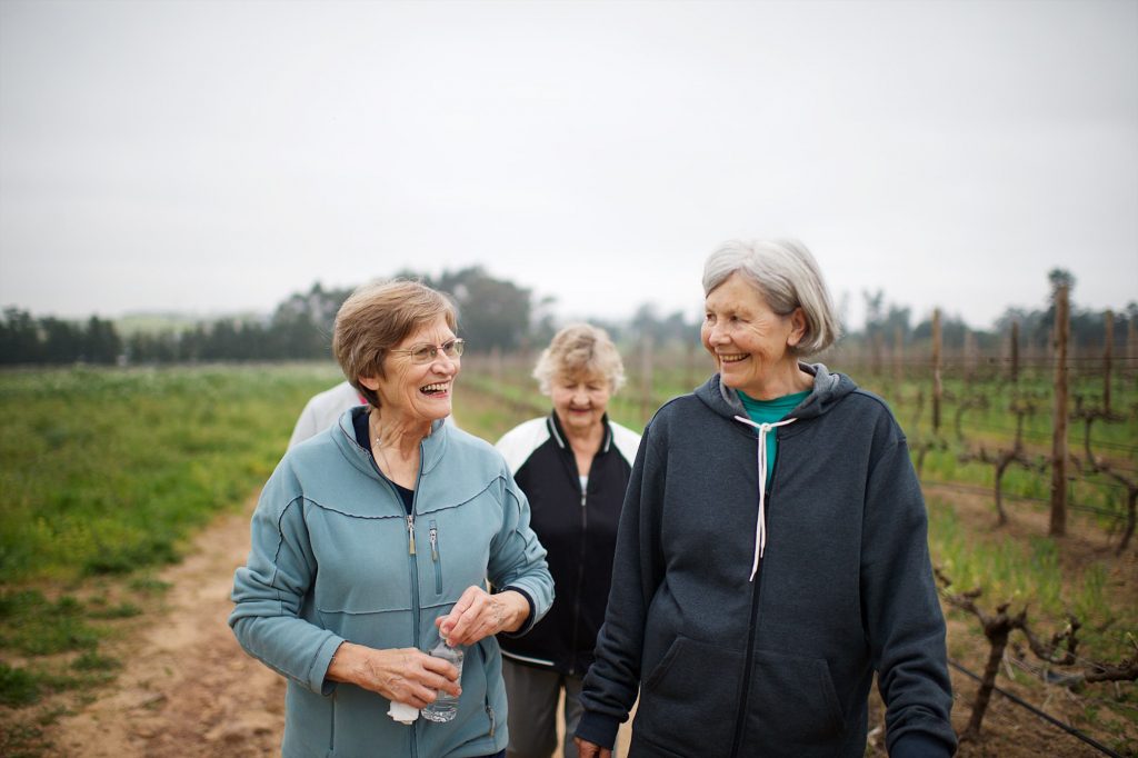 Four Active seniors women walking for exercise outdoors talking together on a misty morning