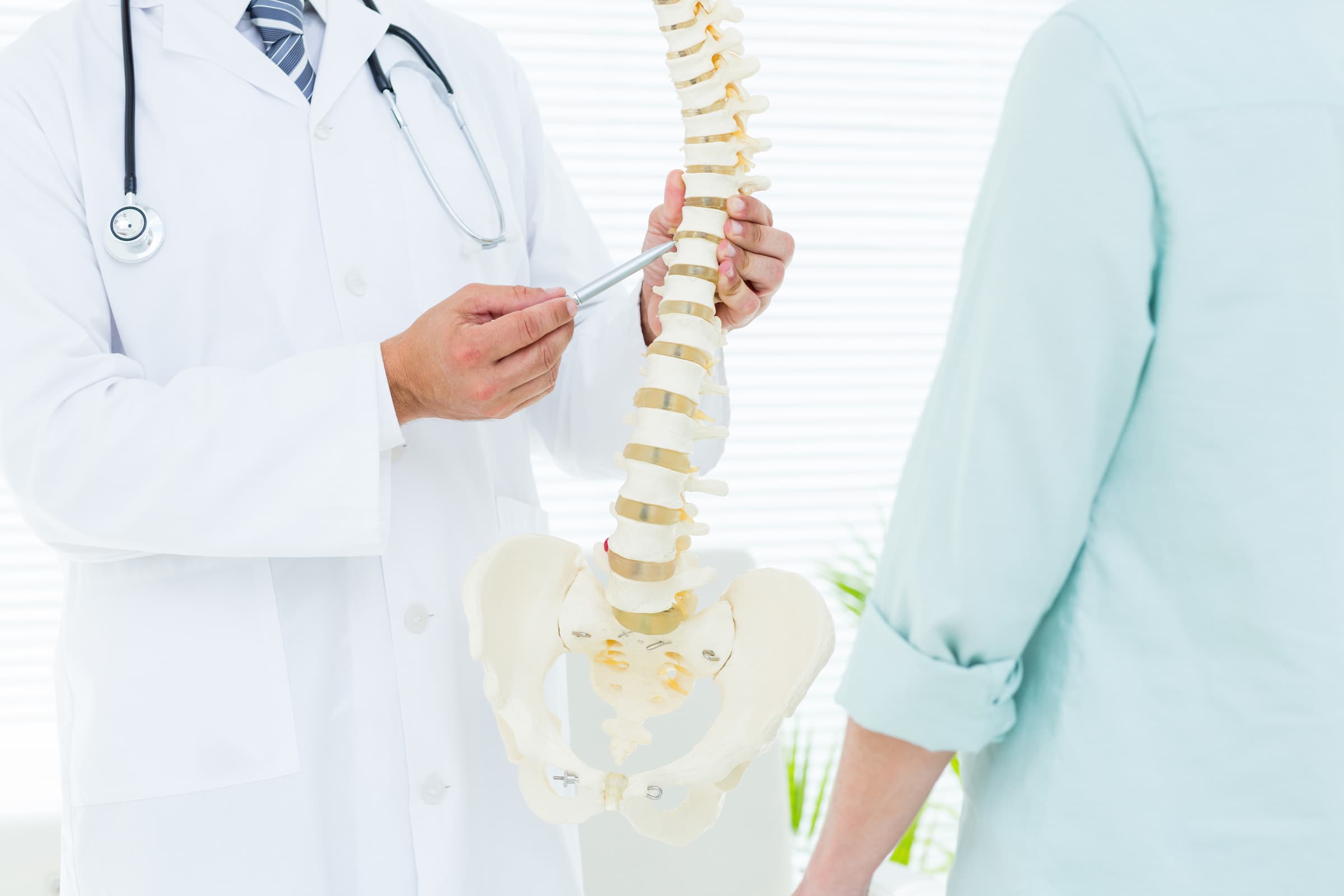 Doctor pointing anatomical spine in medical office spine class spine education