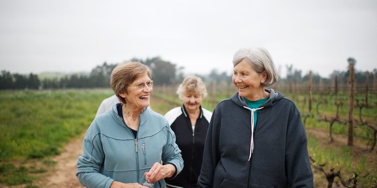 Four Active seniors women walking for exercise outdoors talking together on a misty morning